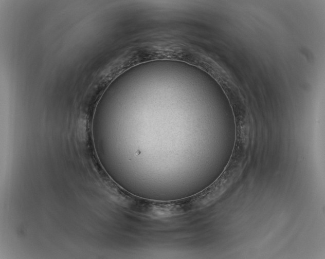 X0000113950757200909251338