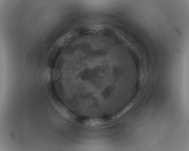 X0000113950758200909251338