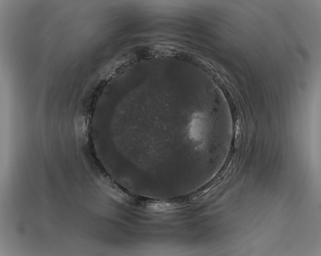 X0000113950759200909251338