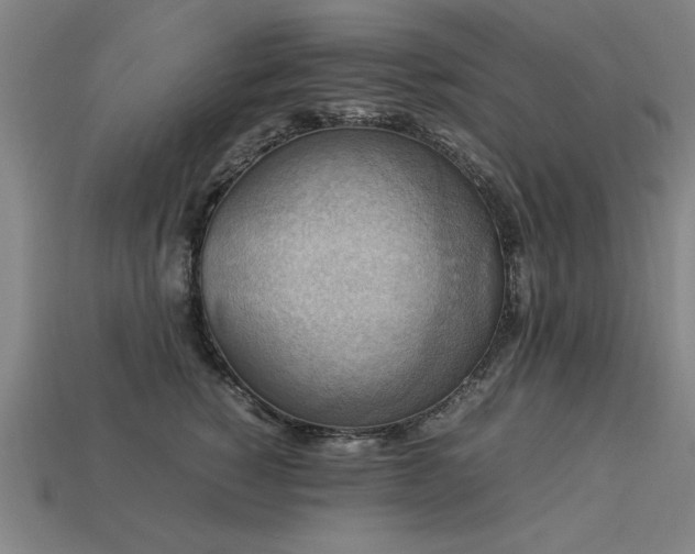 X0000113950760200909251338
