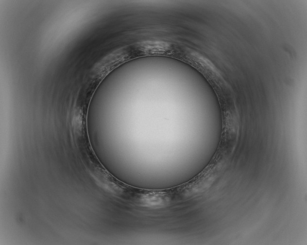 X0000113950761200909251338