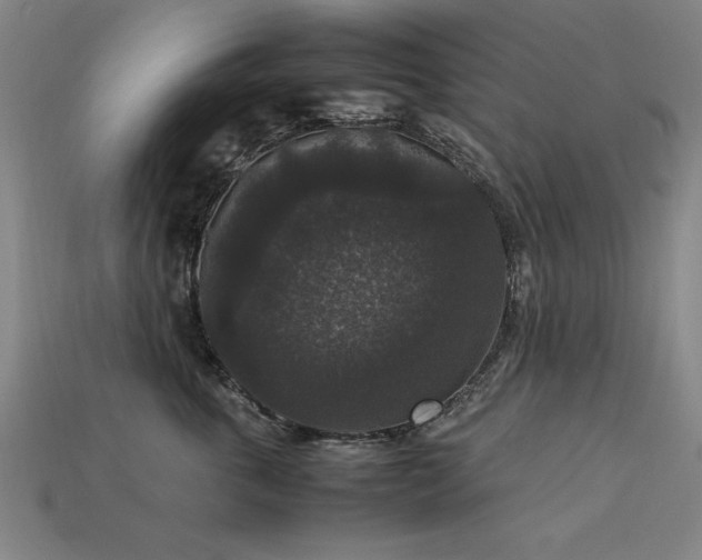 X0000113950763200909251338