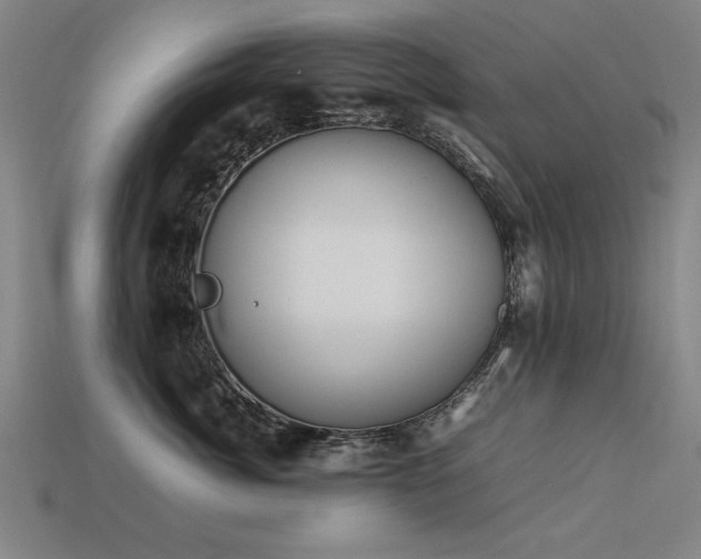 X0000113950764200909251338