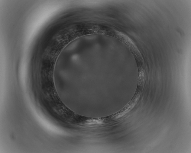 X0000113950765200909251338