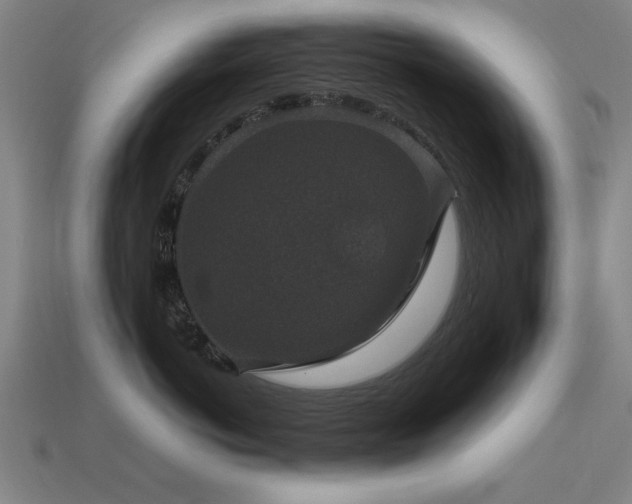 X0000113950766200909251338