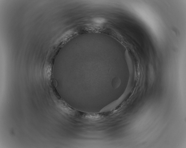 X0000113950767200909251338
