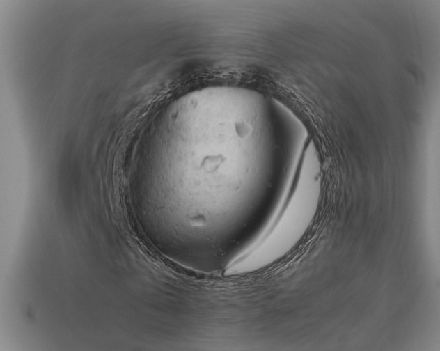 X0000113950769200909251338