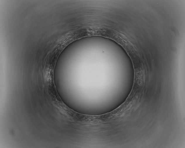 X0000113950770200909251338