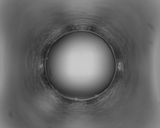X0000113950771200909251338