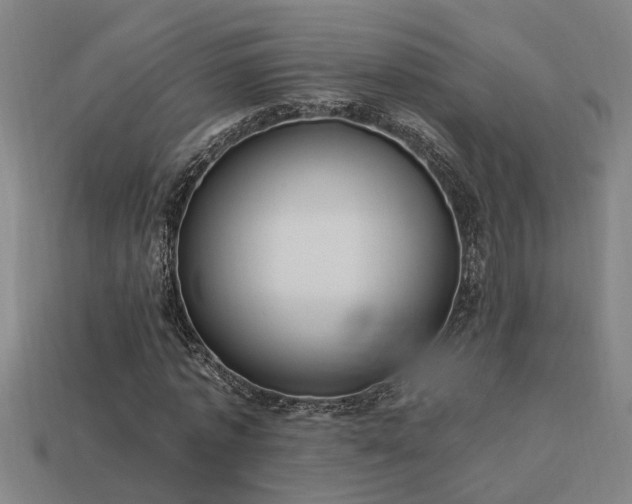 X0000113950773200909251338