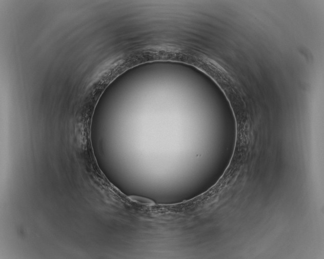 X0000113950774200909251338