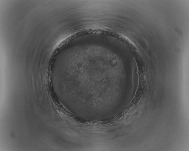 X0000113950775200909251338