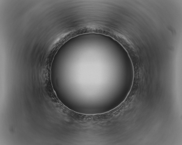 X0000113950776200909251338
