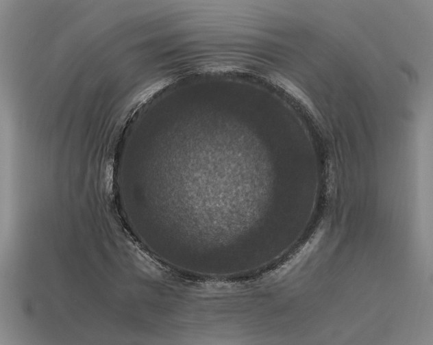 X0000113950777200909251338