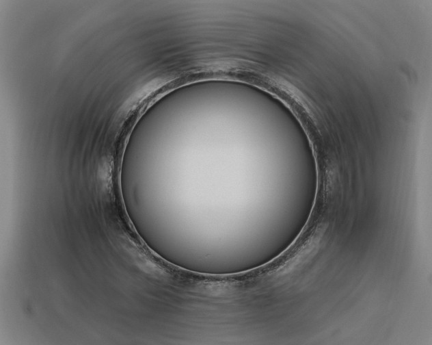 X0000113950778200909251338