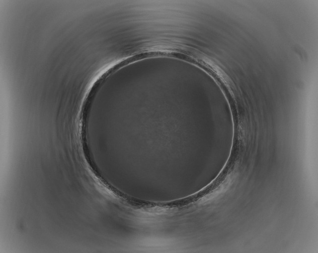 X0000113950779200909251338