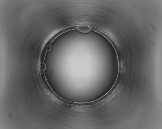X0000113950780200909251337