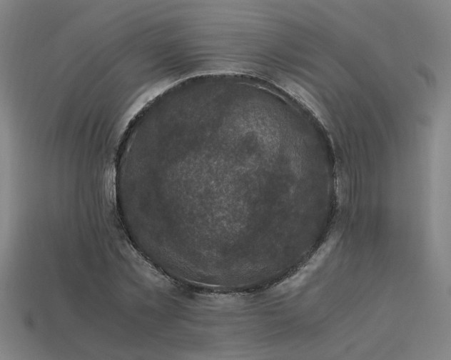 X0000113950781200909251337