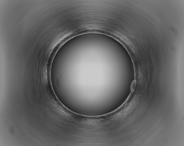 X0000113950782200909251337