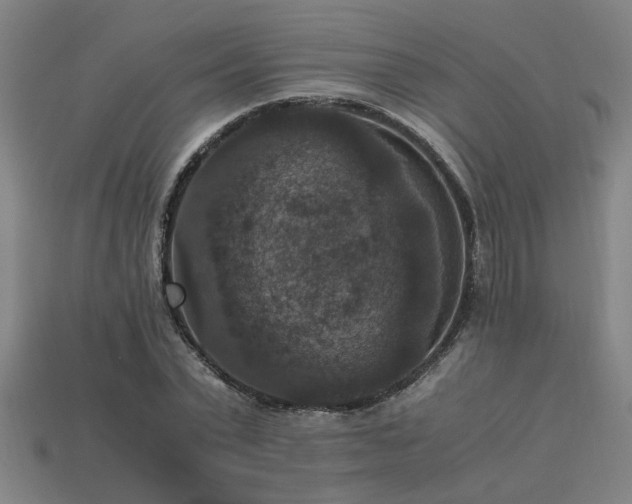 X0000113950783200909251337