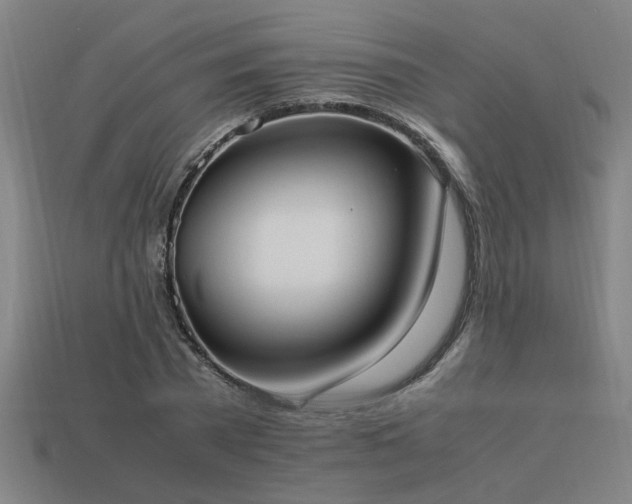 X0000113950785200909251337