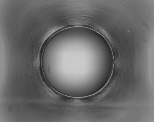 X0000113950787200909251337