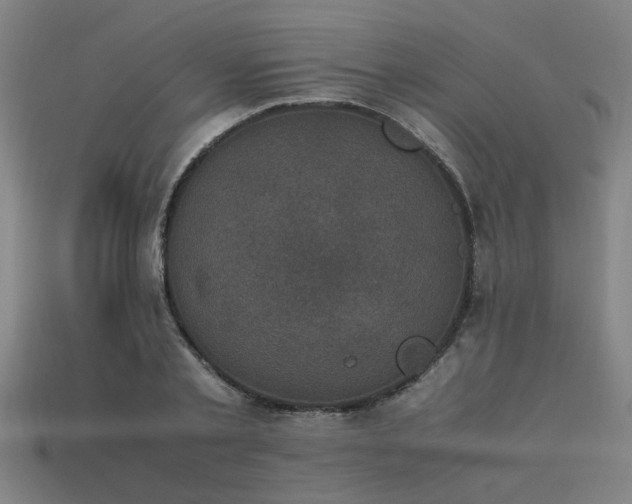 X0000113950789200909251337