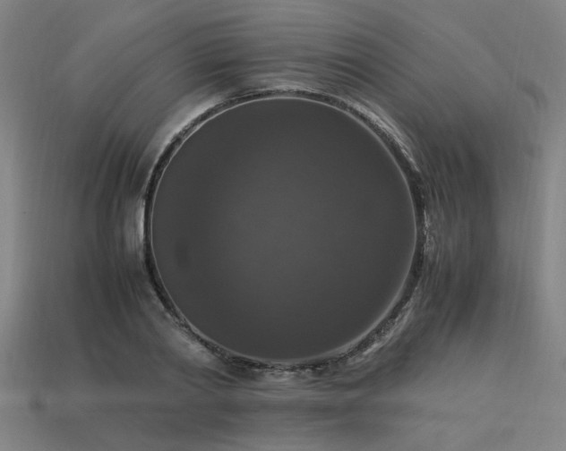 X0000113950790200909251337