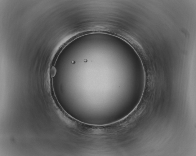 X0000113950792200909251337