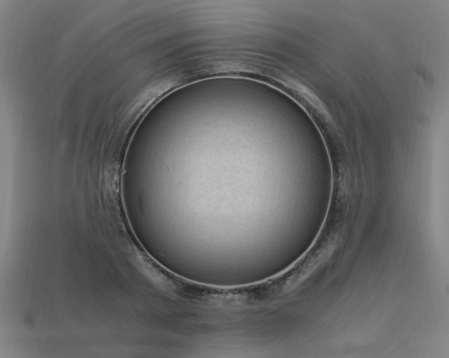 X0000113950793200909251337