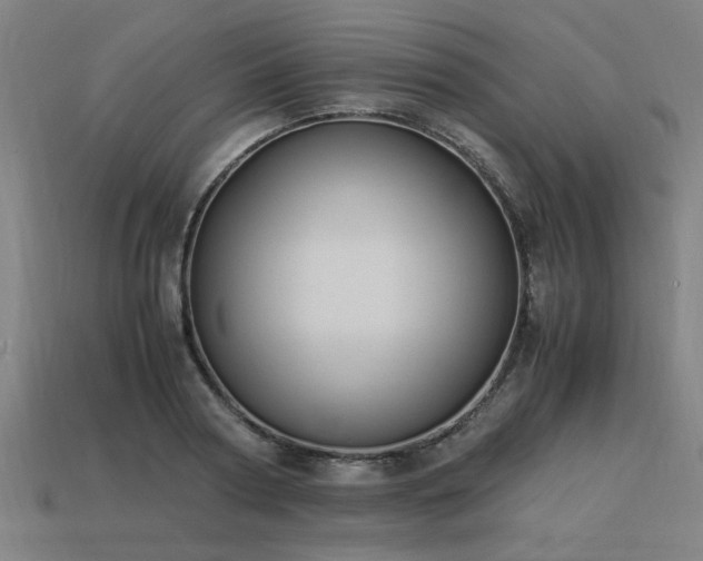 X0000113950794200909251337