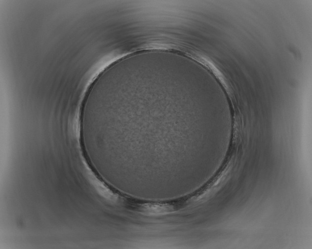 X0000113950795200909251337