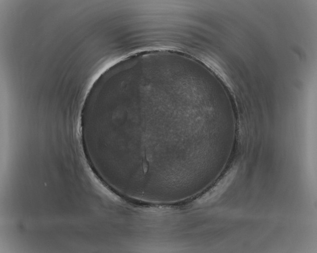 X0000113950797200909251337