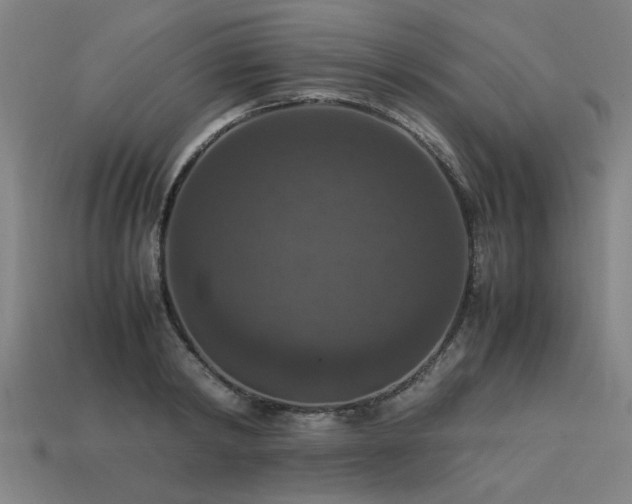 X0000113950798200909251337