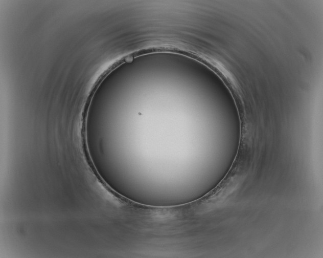 X0000113950799200909251337