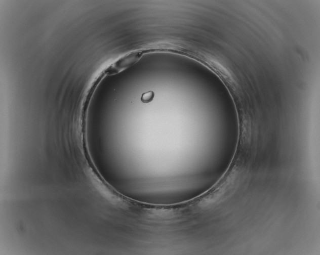 X0000113950800200909251337