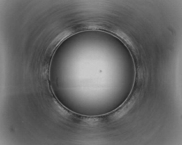 X0000113950801200909251337