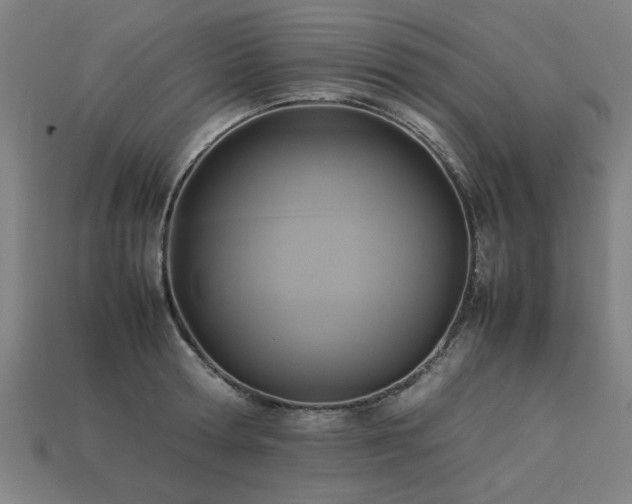 X0000113950802200909251337