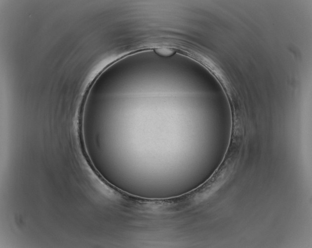 X0000113950803200909251337