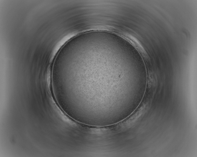 X0000113950804200909251337