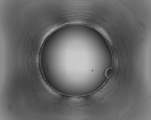 X0000113950805200909251337