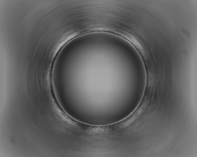 X0000113950806200909251337