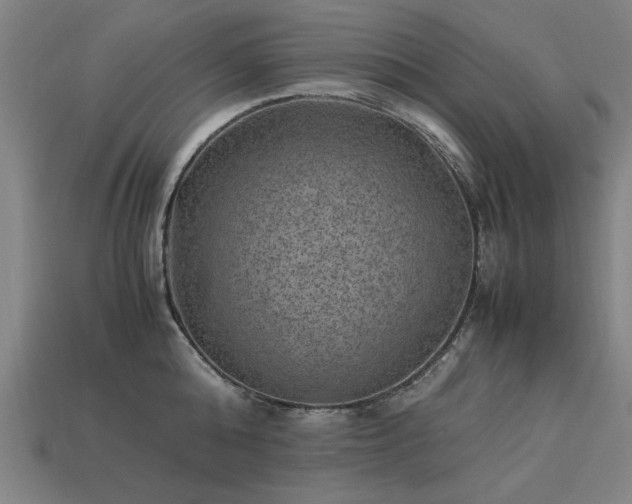 X0000113950808200909251337