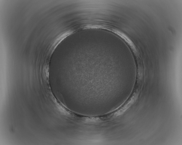 X0000113950809200909251337
