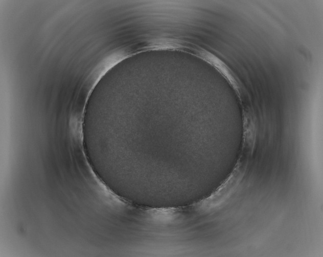 X0000113950810200909251337