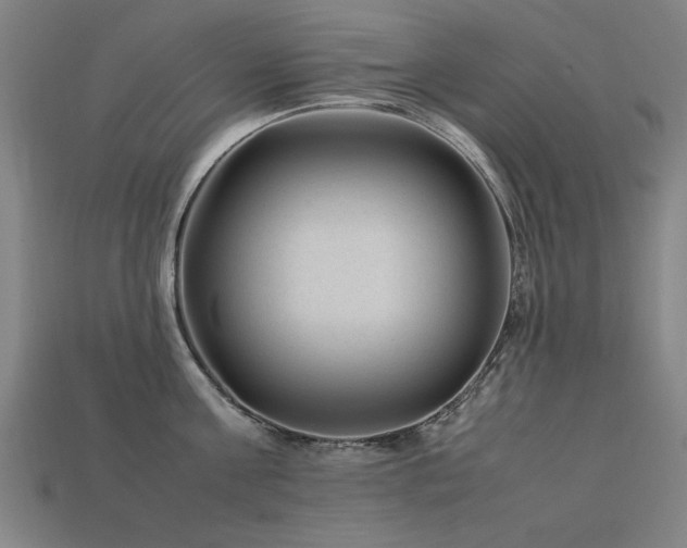 X0000113950811200909251337