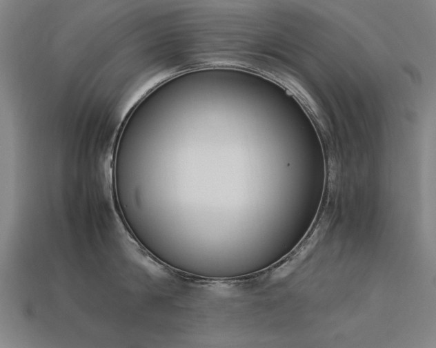 X0000113950814200909251337