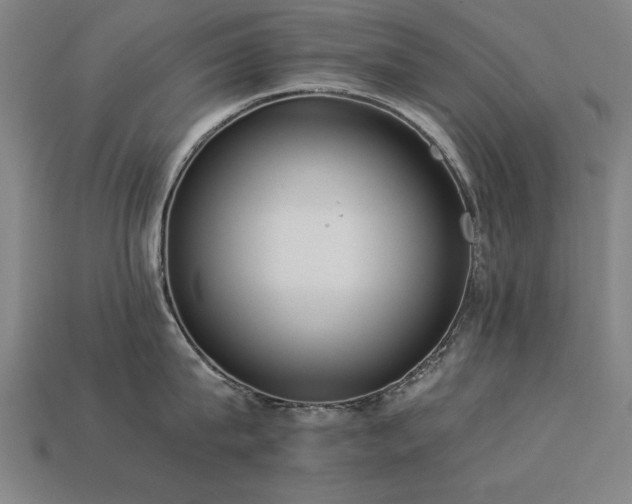 X0000113950815200909251337