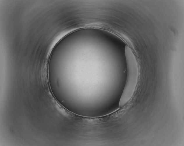 X0000113950816200909251337
