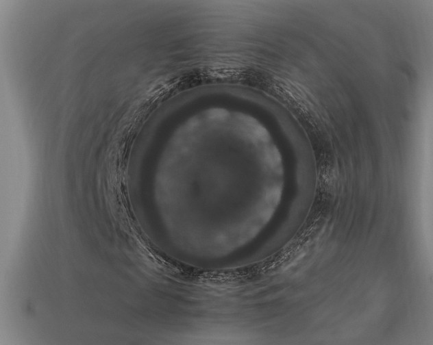 X0000113950817200909251336